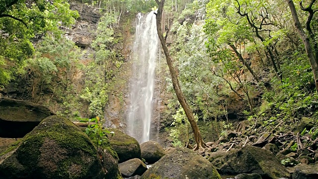科罗拉多大学拍摄的溪流和秘密瀑布/怀鲁阿，考艾岛，夏威夷，美国视频下载