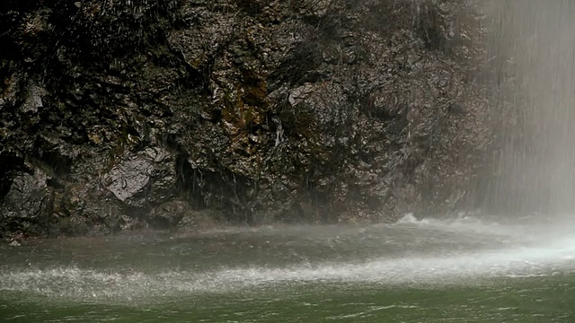 美国夏威夷考艾岛，靠在岩石墙上的秘密瀑布的CU细节视频下载