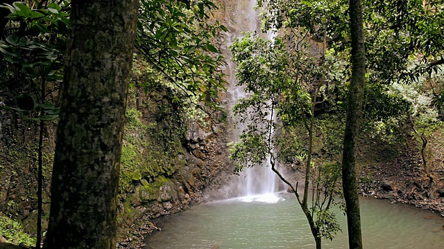 MS Secret Falls through trees / Wailua，考艾岛，夏威夷，美国视频下载