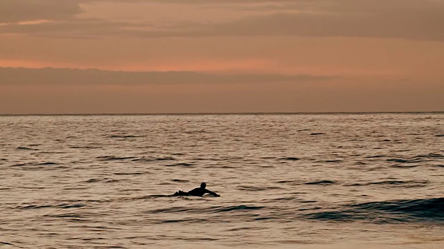 美国夏威夷考艾岛波里海滩，日落时冲浪者划水的剪影视频下载