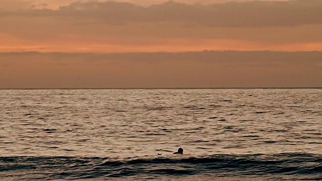 美国夏威夷考艾岛波利赫海滩日落时冲浪者划桨的照片视频下载