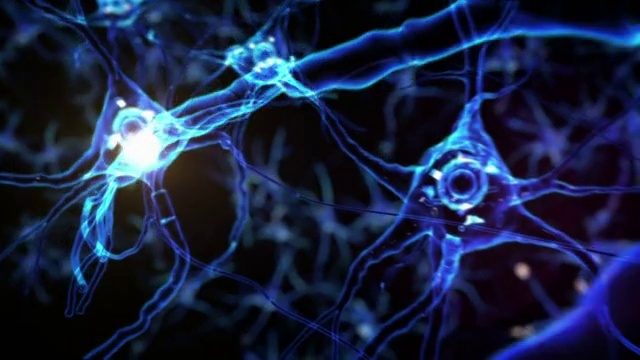 从突触中的神经元到人脑。Loopable。生物学。视频素材