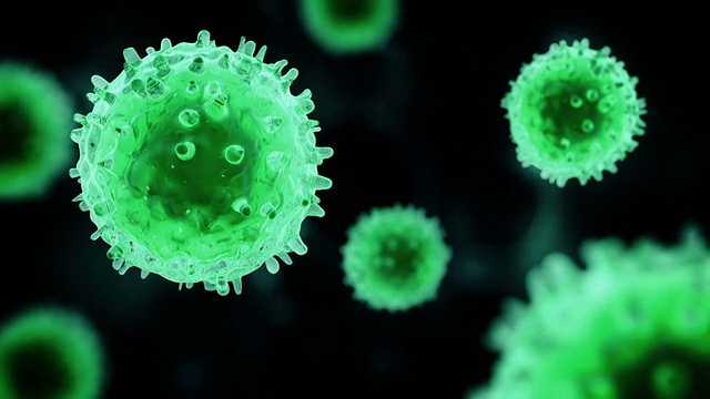 T细胞或病毒漂浮在绿色里视频下载