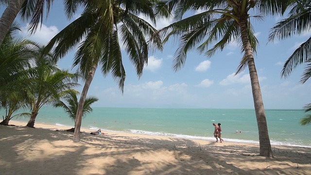 一对游客走在棕榈树的海滩上视频素材