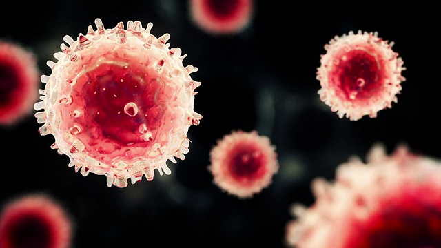T细胞或病毒漂浮在红色区域视频素材