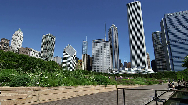 千禧公园的WS和芝加哥的天际线视频素材
