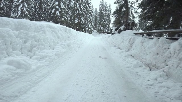 在白雪覆盖的森林路上开车视频下载