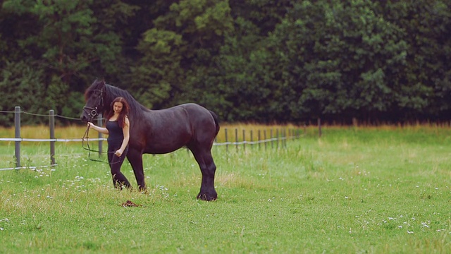 女人在田野上抚摸马的后视图视频素材