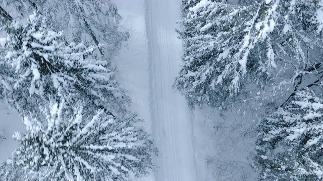 航拍着白雪覆盖的森林道路视频素材