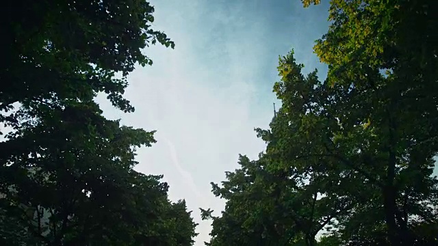 追踪拍摄战神广场小巷，艾菲尔铁塔后的树林线视频下载