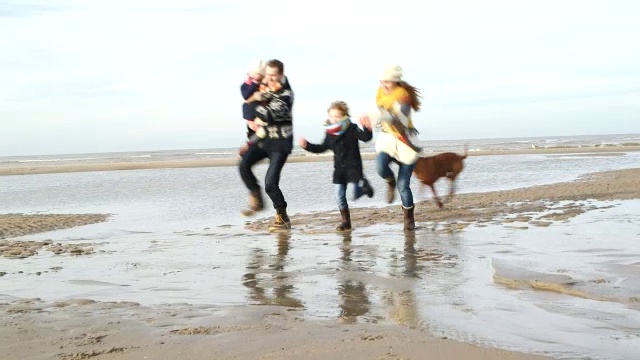 WS家庭与狗享受海滩视频下载
