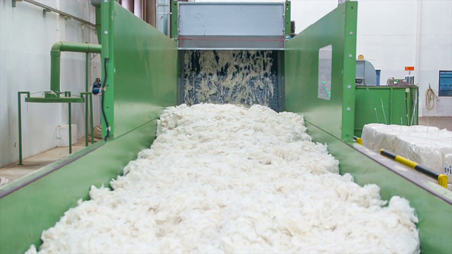 用于纺织厂的羊毛视频素材