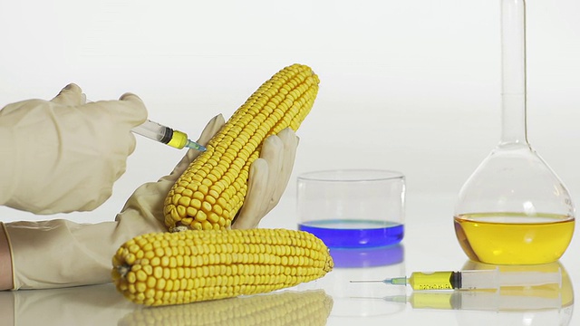 HD DOLLY:转基因修饰玉米基因组视频下载