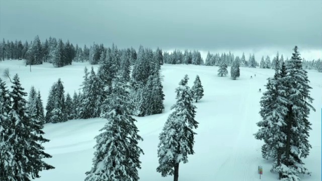 空中拍摄的越野滑雪者视频素材