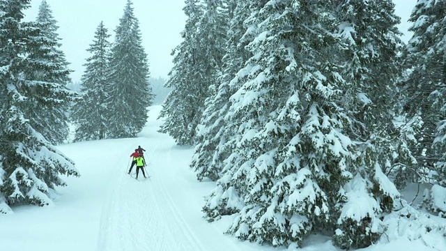 航拍家庭在越野滑雪跑道上视频素材