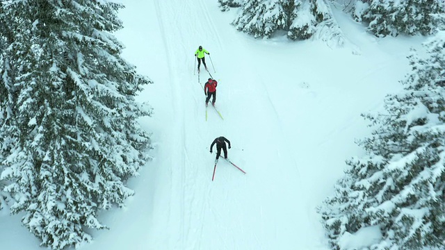 航拍家庭在越野滑雪道上滑雪视频素材