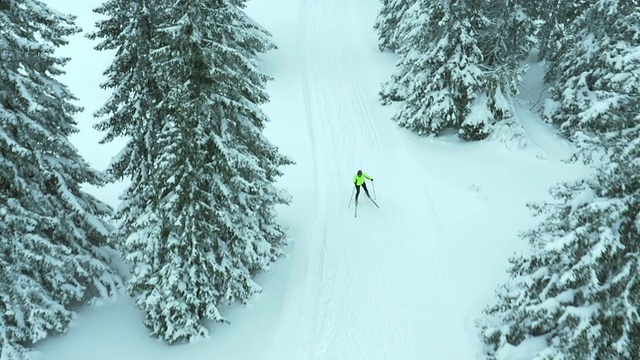 航拍女子在树林中越野滑雪视频素材