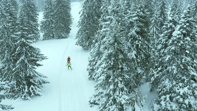 航拍一对夫妇在越野滑雪跑道上视频素材