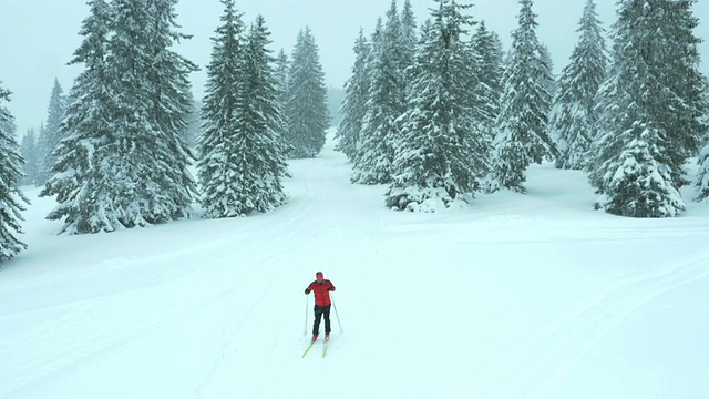 空中拍摄的男子越野滑雪在自然界视频素材