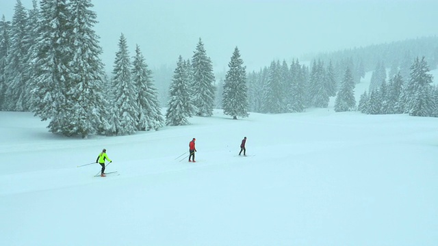 下雪时家庭越野滑雪的航拍视频素材
