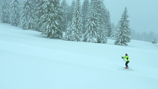 空中的女子越野滑雪上山视频素材