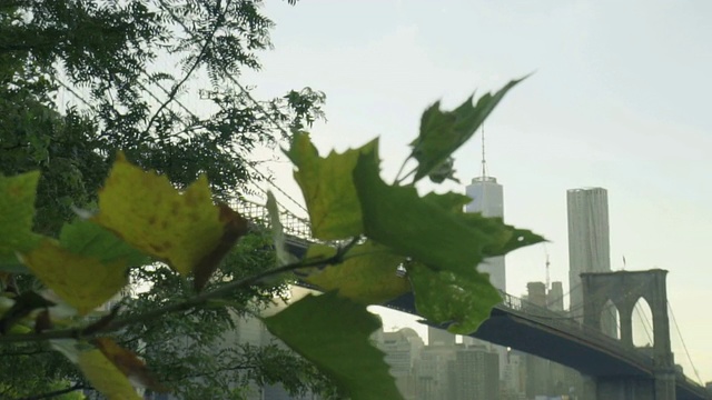 布鲁克林大桥摄影视频素材