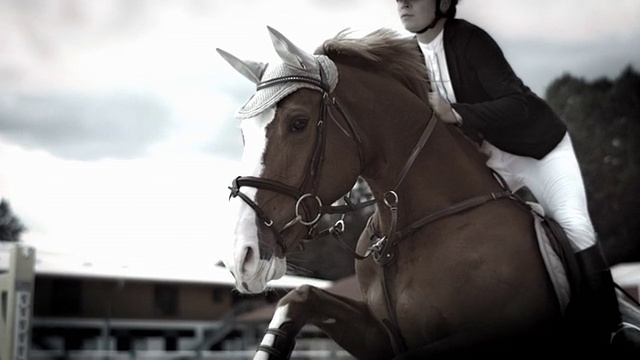 HD超级慢动作:骑马者跳过牛牛视频下载