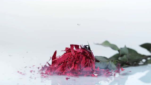SLO MO LD冰冻的红玫瑰飘落碎成小块视频素材