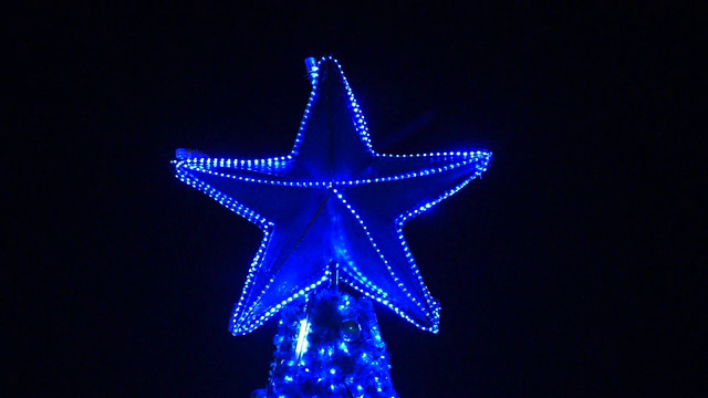 圣诞树上的蓝星视频下载
