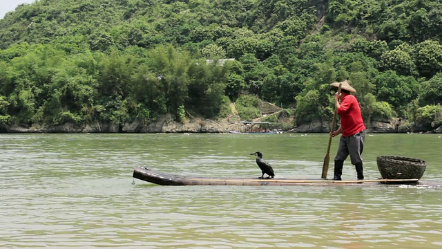 中国广西漓江边，渔民和小鸟一起钓鱼，玩传统的船桨视频下载