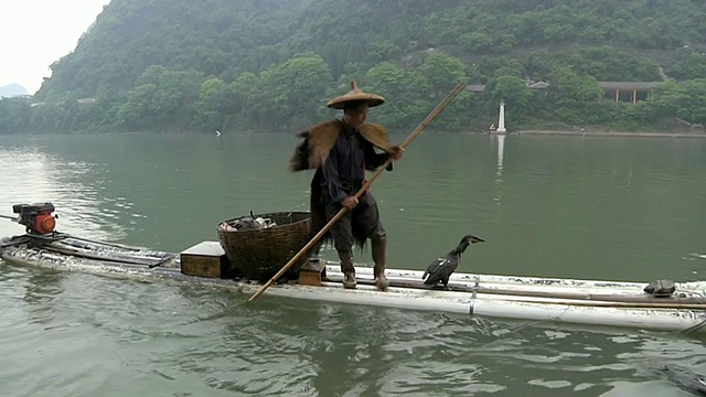 MS Man钓鱼与鸟类/靠近漓江，中国广西视频素材