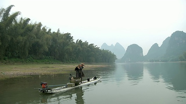 WS人与鸟钓鱼/漓江附近，广西，中国视频素材