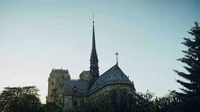 巴黎圣母院东侧从树丛中探出头来视频素材