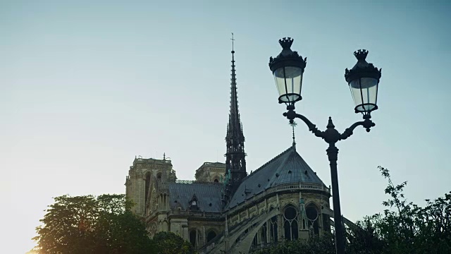 巴黎圣母院东侧的跟踪镜头从树林和街灯中浮现视频素材