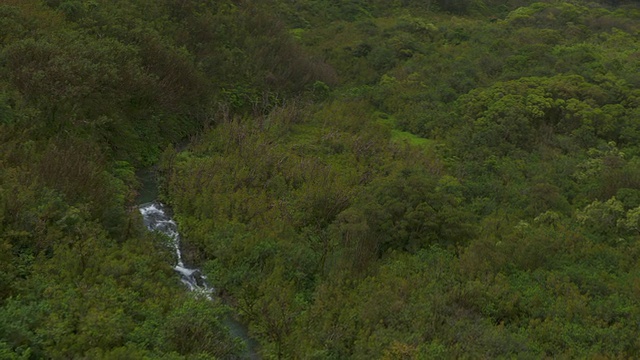 绿色植被与河流视频素材