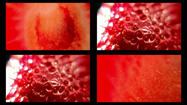 多框架草莓和黑色背景视频素材