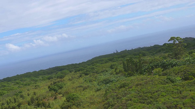 夏威夷毛伊岛的草山视频素材