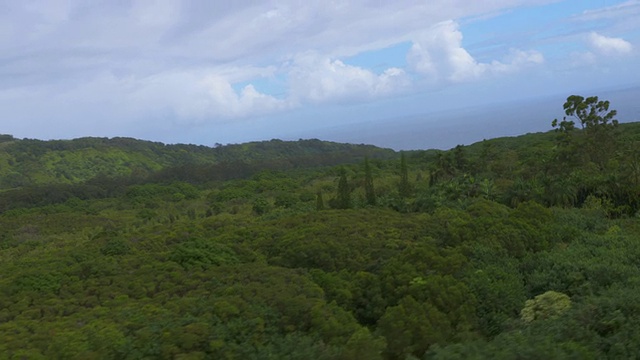 夏威夷毛伊岛的草山视频素材