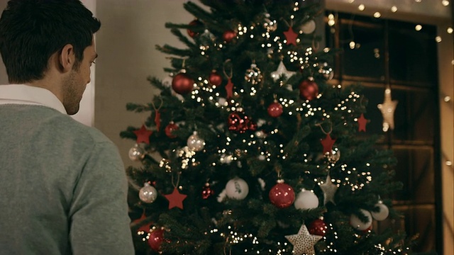 圣诞老人装饰圣诞树视频素材