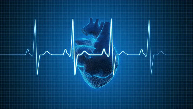 人类心脏的心电图脉搏迹可循环视频下载