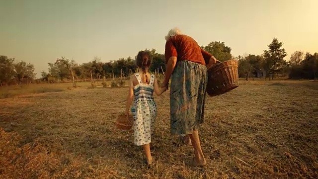 POV，用户生成内容。一个小女孩向她的祖母学习如何摘西红柿。真实的人，乡村场景，。镜头光晕，特殊角度，GoPro。视频素材