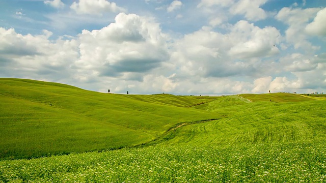 绿色田野上美丽的云景视频素材