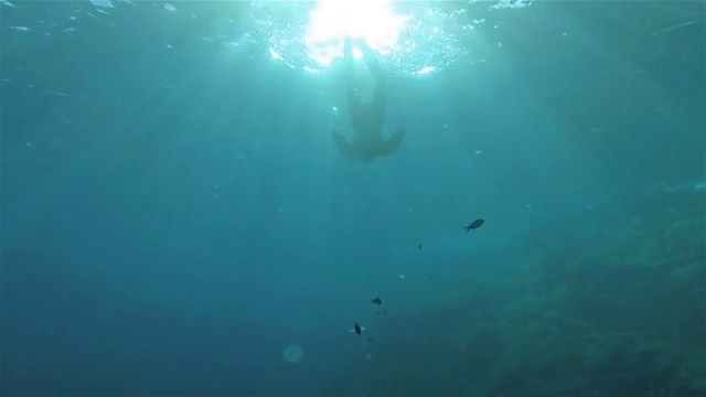 女子跳水海底视频素材