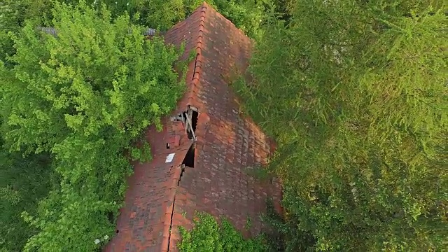 空中楼阁:树林里的破旧农舍视频下载