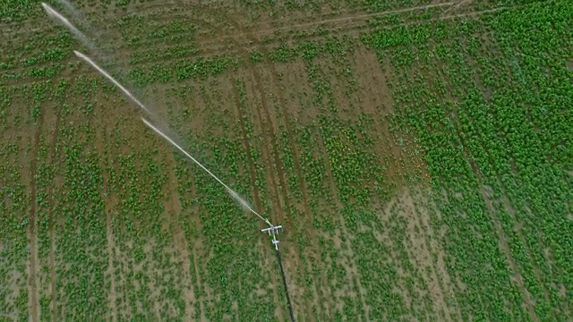 空中农业洒水器给田地浇水视频下载