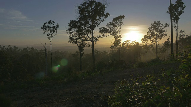 日出时的澳大利亚热带景观视频下载
