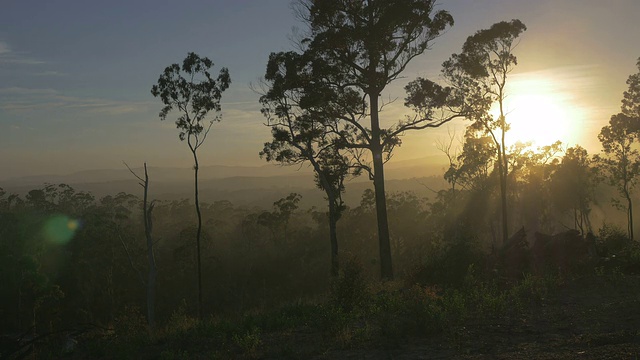 日出时的澳大利亚热带景观视频下载