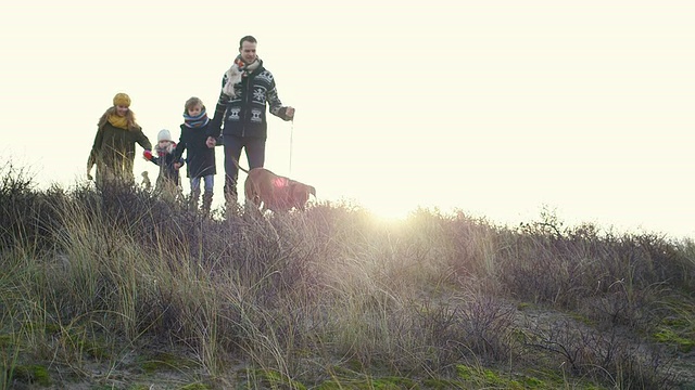 WS家族和狗在山上跑步视频下载