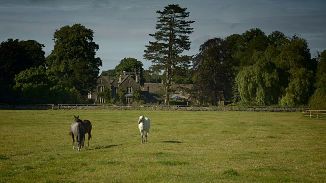 典型的科茨沃尔德乡村场景，3匹马视频素材