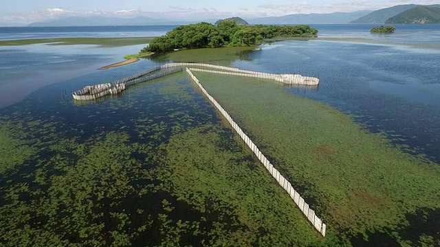琵琶湖的架空捕鱼器视频素材